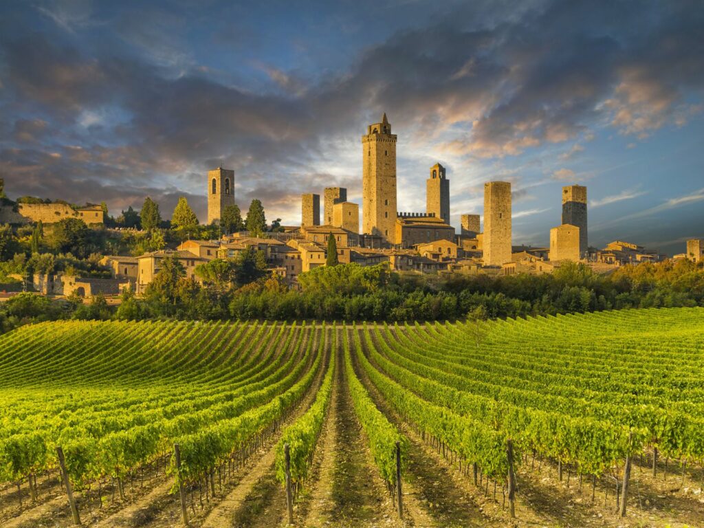 La Manhattan Medievale - Vigneto con vista sulle torri di San Gimignano